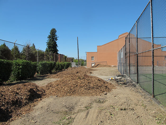 Artistic local residents have designed a garden to be installed next to the Richmond Plunge and have now started an IndieGoGo campaign to help fund it.